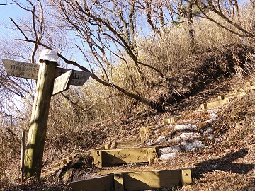 �����䂩��̓��ƍ���