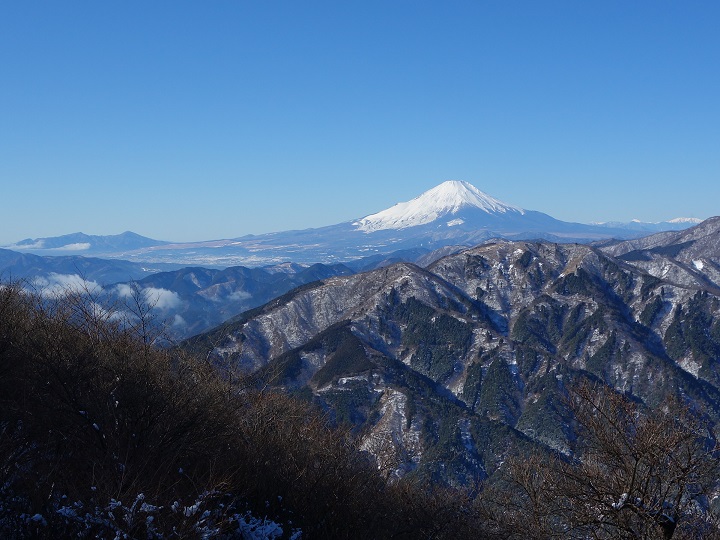 ��R�R�����猩���x�m�R