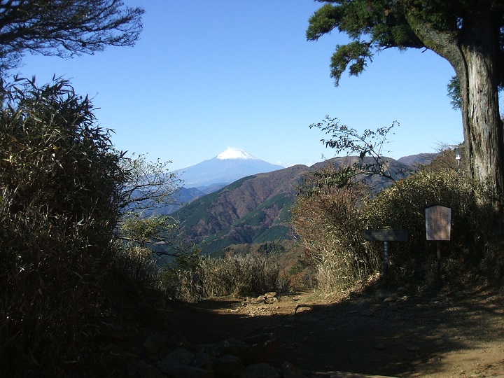 ��R20���ځE�x�m����