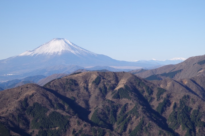 ��R���猩���x�m�R�Ɠ�A���v�X