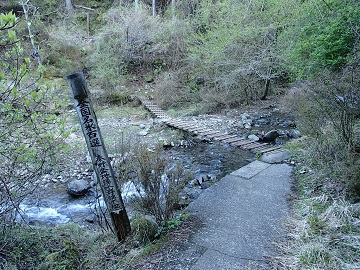 �S�������S�I