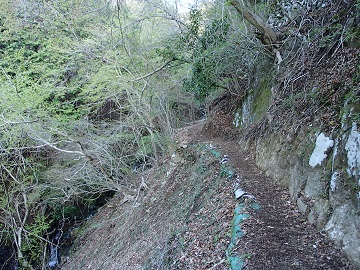 ���r�c���ւ̓�