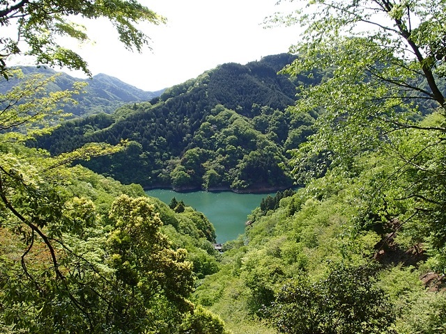 ��a�X�m�����猩���V�΂̋{������