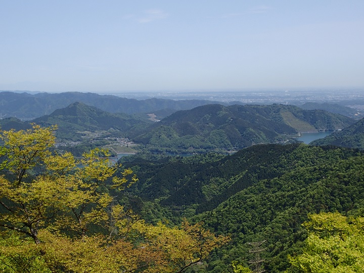 ����V����{�����΂̓W�]