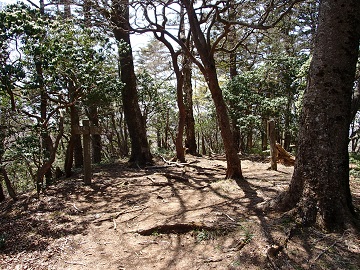 �O��O�c��E�����m��