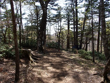 �O��O�c��E����m��