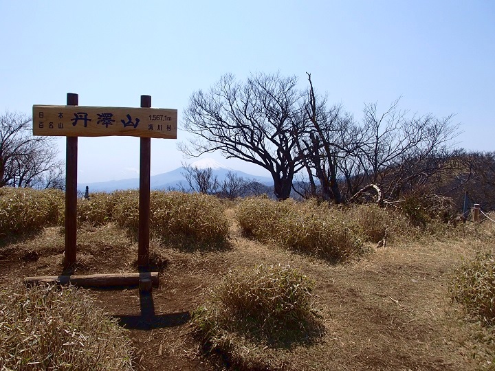 5���̒O��R�E�R��