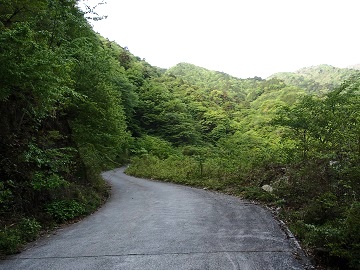 �����ѓ��̕���