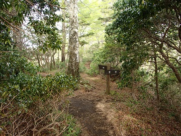 �V������������