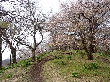 �O��R�̎R��