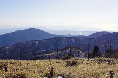 �����n��