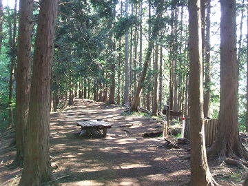 �G����m��