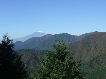 ���m�x�������猩���x�m�R