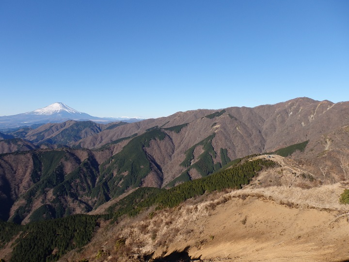 �O�m�����猩���x�m�R�ƕ\����