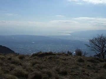 �G���R���瑊�͘p�̓W�]