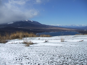 �S�C�؃m��