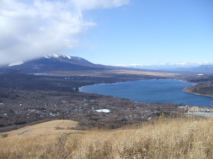 �S�C�؃m��