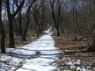 �哴�R�ւ̓�